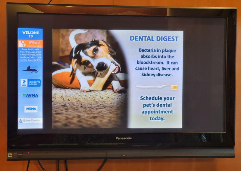 Carousel Slide 10: Informational TV For Our Clients